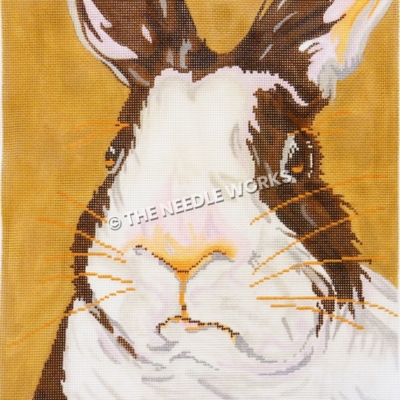 closeup face of brown and white bunny on dark yellow background