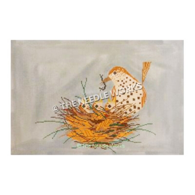 bird holding worm in mouth with baby birds in nest on gray background