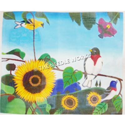 birds resting on sunflower vine and hummingbird eating from pink flower