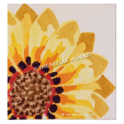 closeup of sunflower