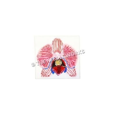 pink orchid