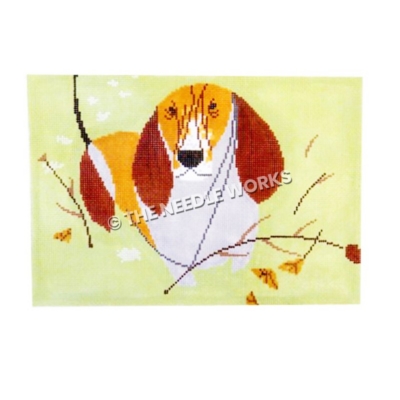 basset hound on green background