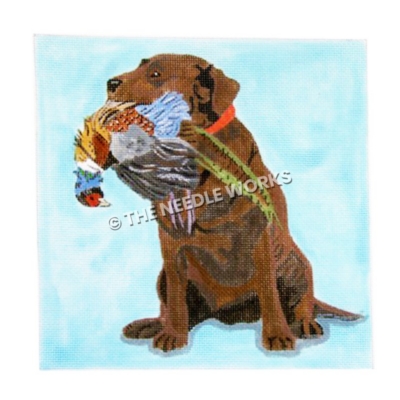 brown bird dog with multi-colored pheasant in mouth on light blue background