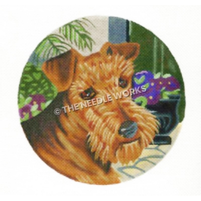 brown Scottie dog with purple flowers in background