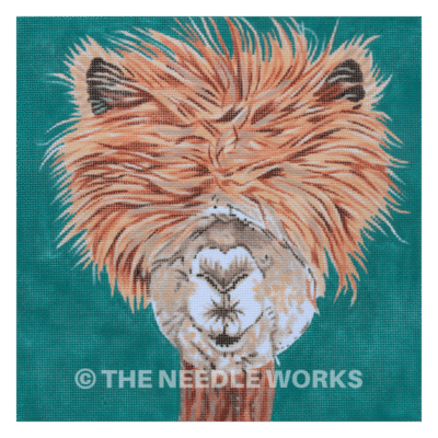 alpaca with hair covering eyes on teal square background