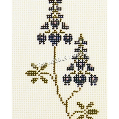 single bluebonnet on white background