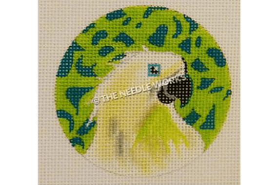 colors of praise trunk show white parrot