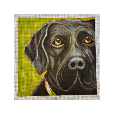 Black Lab