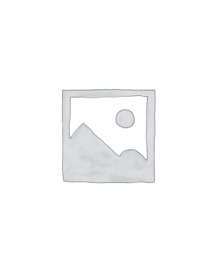 Beginner's Needlepoint 5/3 Session