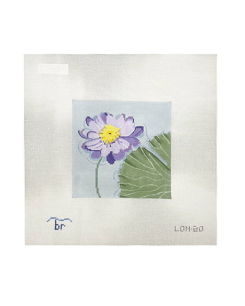 Purple Flower Blooming