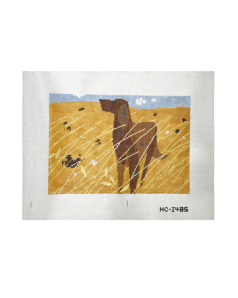 Irish Setter in Meadow