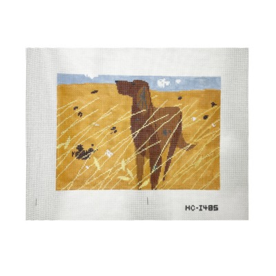 Irish Setter in Meadow