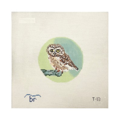 ROCKY- SAW WHET OWL