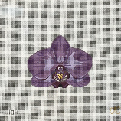 Purple Orchid