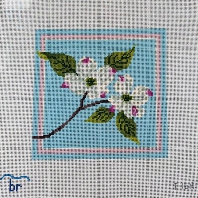 White Dogwood Blossoms 13M
